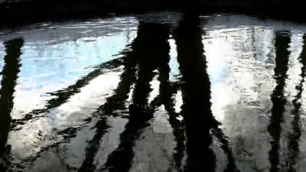 Baumreflexion im Fluss — Stockvideo