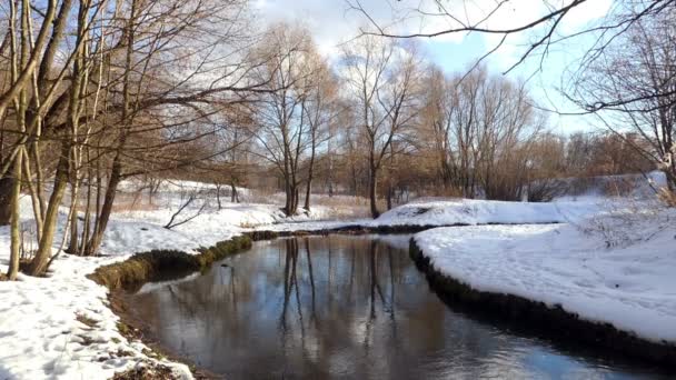 Piccolo fiume tra alberi invernali e neve . — Video Stock