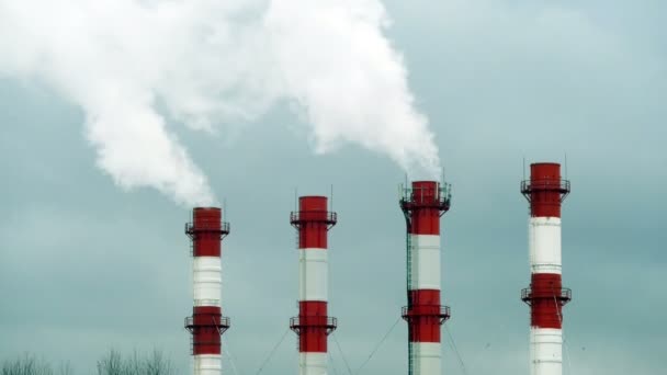 Chimeneas fumadoras en la ciudad. Estación térmica — Vídeos de Stock