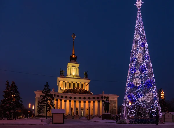 O edifício e a árvore à noite na exposição Moscou — Fotografia de Stock