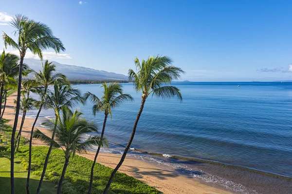 Sugar Beach Kihei Maui Havaí EUA — Fotografia de Stock