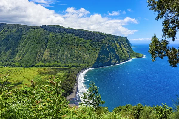 Waipio Valley Lookout Big Island Hawaii Estados Unidos — Foto de Stock