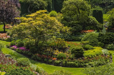 Victoria British Columbia Kanada'da Bahçe