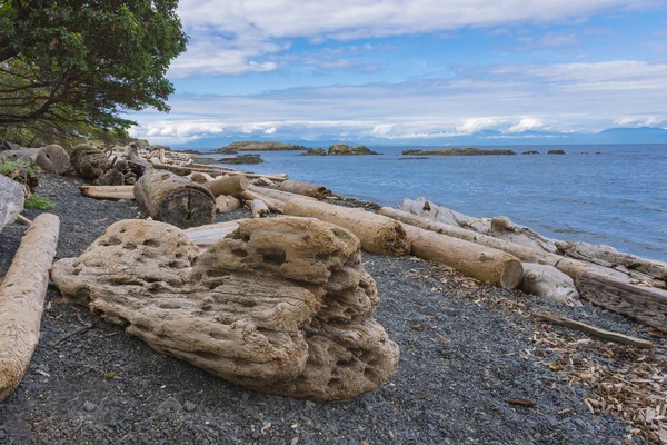 Driftwood na praia na ilha Nanaimo Vancouver British Columbia — Fotografia de Stock