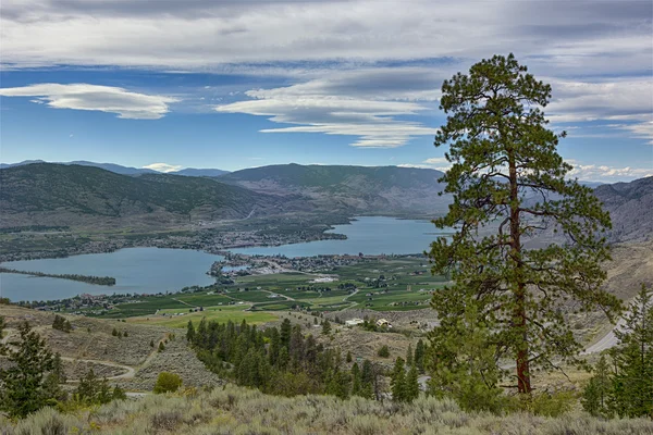 Osoyoos dari Anarchist Mountain Okanagan Valley British Columbia Canada — Stok Foto