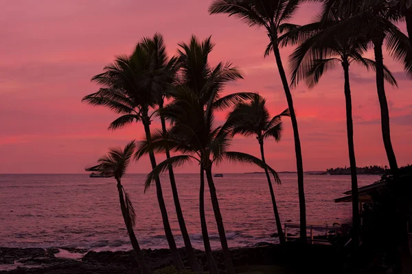 Kona günbatımı Big Island Hawaii