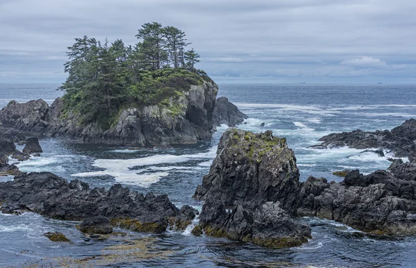 Pantai barat Pulau Vancouver dekat Ucluelet British Columbia Canada — Stok Foto