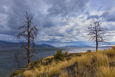 Okanagan Gölü yakınındaki Kelowna British Columbia Kanada