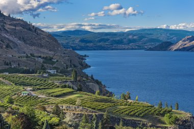 Okanagan Gölü yakınındaki Summerland British Columbia Kanada