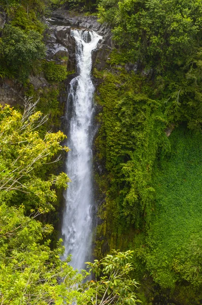 Maui South Coast Waterfall — Stock Photo, Image