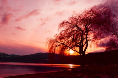 Batan güneşin Okanagan Gölü
