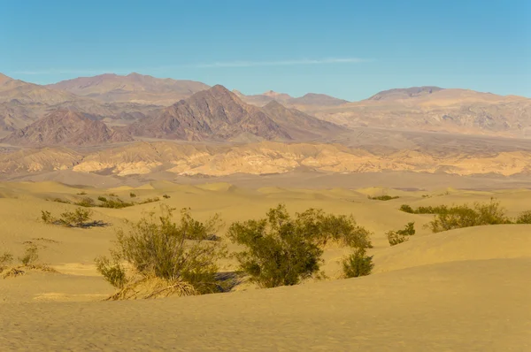 Mesquite Flat Dunes Death Valley — Stock Photo, Image