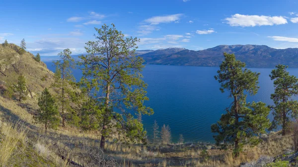 Panorama del lago di Okanagan — Foto Stock