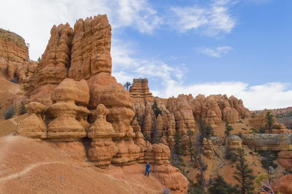 Renkli kaya oluşumları Red Canyon Utah'da yürüyüş genç adam