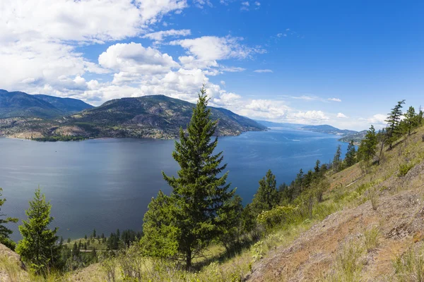 Панорама озера Оканаган Kelowna Bc Канади — стокове фото