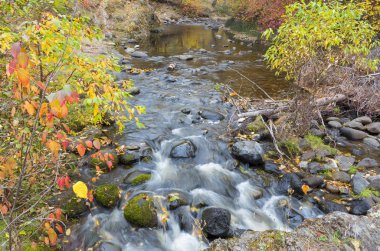 Sonbahar akışı Bear Creek Okanagan Vadisi M.ö.