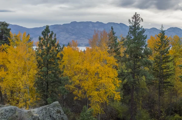 Okanagan Valley in the Fall — Stok Foto