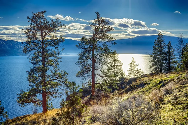 Okanagan Lake Peachland Columbia Británica Canadá — Foto de Stock