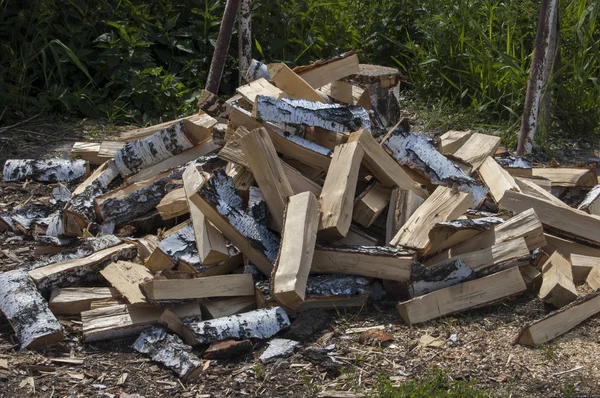 Kış huş ağacı ahşap hasat. Rus köy.