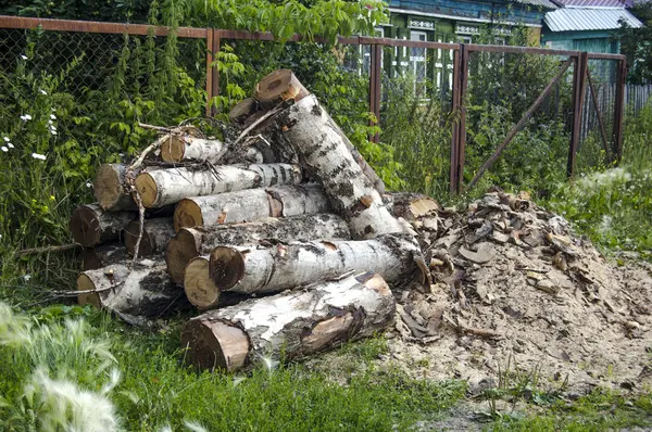 Kış huş ağacı ahşap hasat. Rus köy.