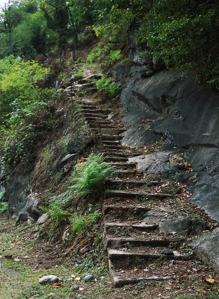 Παλιά ερειπωμένη σκάλες στα βουνά της γεωργίας μέσα στο πράσινο — Φωτογραφία Αρχείου
