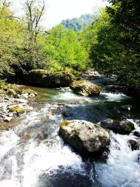 Dağ nehri