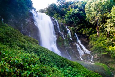 Lush Tropikal Orman Arazisinde Güzel Görkemli Şelale Şelalesi