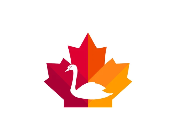 Design Logotipo Maple Swan Logótipo Cisne Canadiano Folha Bordo Vermelho — Vetor de Stock