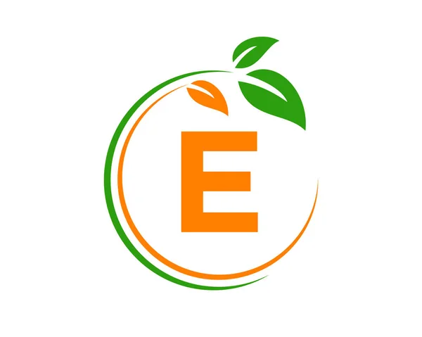 Eco Logo Dengan Konsep Huruf Huruf Eco Logo Alami Sehat - Stok Vektor