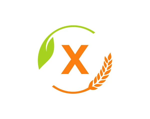Логотип Сельского Хозяйства Letter Concept Дизайн Логотипа Сельского Хозяйства Сельского — стоковый вектор