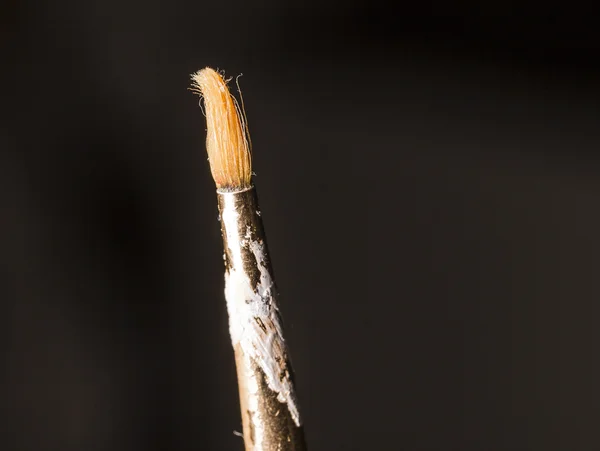 Paintbrush Close Up — Stock Photo, Image