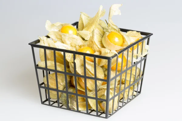Physalis meyve kutusu