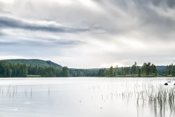 Lake with Forest — Stock Photo, Image