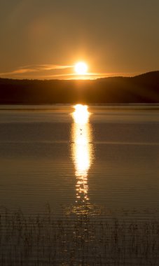 Günbatımı ile uçan kuş
