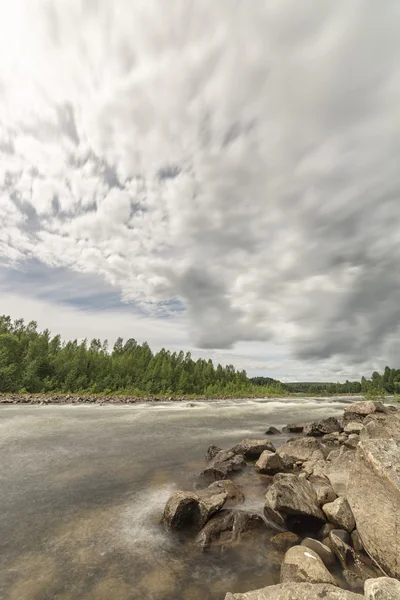 River with Forest and Cloudy Sky — Stock Photo, Image