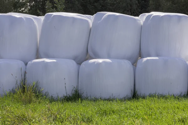 Ensilage bollar närbild — Stockfoto