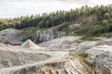 Sandpit ağaçları ile