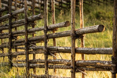 Uzun otların ile eski ahşap çit