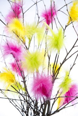 Paskalya Twigs renkli tüyleri ile