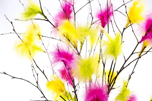 Easter Twigs with Coloured Feathers — Stock Photo, Image