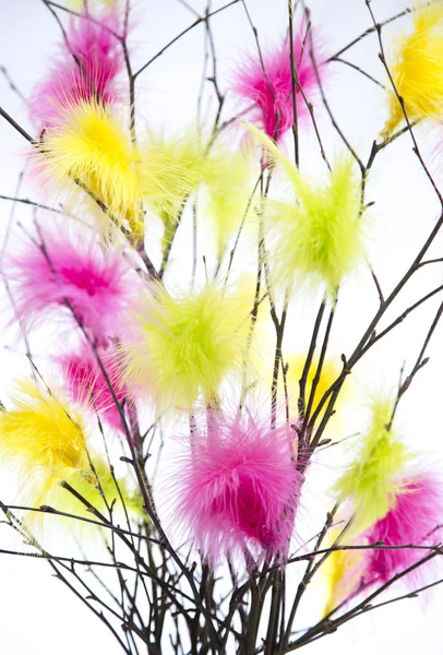 Easter Twigs with Coloured Feathers — Stock Photo, Image