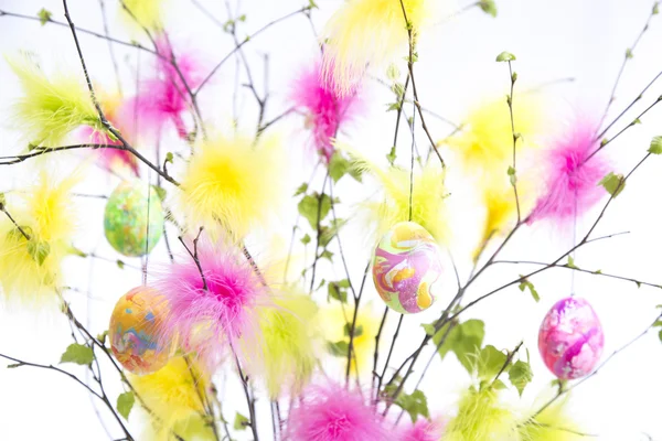 Ramitas de Pascua con plumas y huevos de colores Fotos De Stock