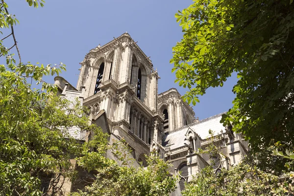 Notre-Dame Cathedral in Paris, France — Stock Photo, Image
