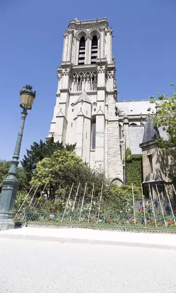 Notre-Dame Cathedral in Paris, France — Stock Photo, Image