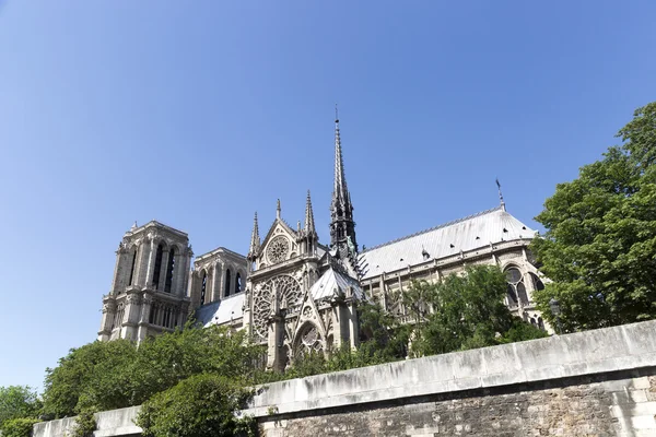 Notre-Dame Cathedral in Paris, France — Stock Photo, Image