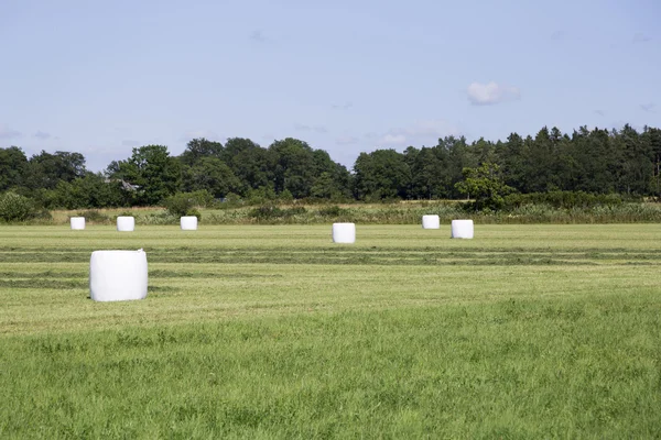 Envuelto ensilaje en el campo — Foto de Stock