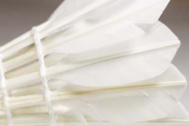 Beyaz tüylü raketle