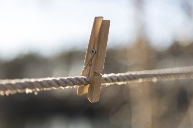 Ahşap giysi iğnesi giyim hattı üzerinde