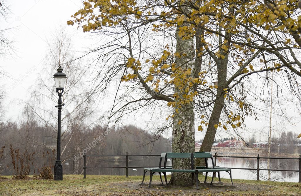 Benches aroudn Aspen Tree