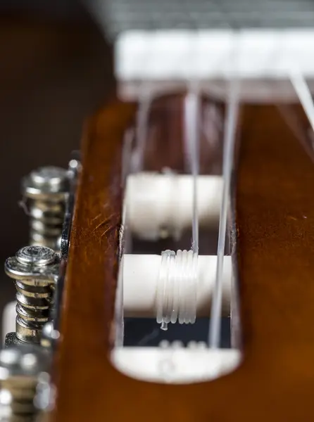 Cuerdas de guitarra de cerca —  Fotos de Stock